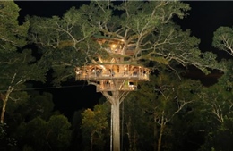 Ngủ đêm trong những ngôi nhà vắt vẻo trên cây cao nhất thế giới ở Lào