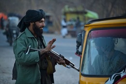 Taliban khen ngợi những kẻ đánh bom liều chết, tặng tiền cho thân nhân