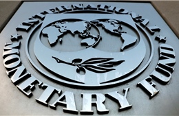 IMF cảnh báo về rủi ro của tiền số Bitcoin