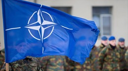 Quốc hội Hungary phê chuẩn kết nạp Phần Lan vào NATO