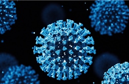 Virus SARS-CoV-2 tiến hóa theo hướng ngày càng dễ lây lan và &#39;né&#39; hệ miễn dịch