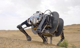 Trung Quốc phát triển robot sinh học bốn chân đồ sộ nhất thế giới 