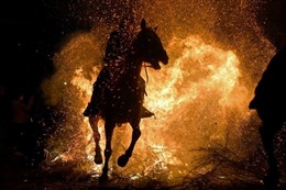 Cưỡi ngựa vượt lửa để xua đuổi bệnh dịch tại Tây Ban Nha