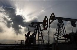 Một số nước EU sẽ phủ quyết lệnh cấm dầu Nga