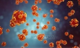 CDC Mỹ tìm hiểu nguyên nhân gây bệnh viêm gan mãn tính hiếm gặp 