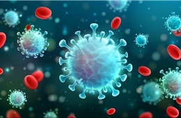 Tế bào bị nhiễm COVID-19 có thể ‘phát nổ’