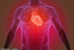 Loại keo thần kỳ có thể ‘vá’ mô tổn thương cho người bị đau tim