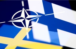 Phần Lan sẽ không gia nhập NATO nếu thiếu Thụy Điển 
