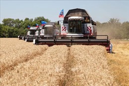 Ukraine thiết lập 2 tuyến xuất khẩu ngũ cốc qua Ba Lan và Romania