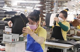 Lý do ngày càng nhiều doanh nghiệp châu Âu chọn đầu tư ở Việt Nam