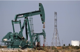 Tổng thống Putin cảnh báo giá dầu thô sẽ tăng vọt nếu áp giá trần dầu Nga