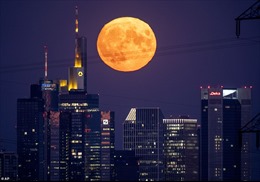 Ngắm siêu trăng ‘cá tầm’ tỏa sáng khắp thế giới