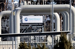 Quốc gia EU đề nghị dỡ bỏ đường ống khí đốt Nord Stream 2 