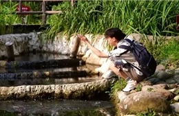 Công viên không muỗi ở Trung Quốc hút khách tham quan