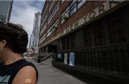 New York (Mỹ) ban bố tình trạng khẩn cấp vì bệnh bại liệt