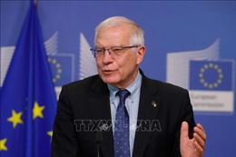 Các Ngoại trưởng EU phản đối thu hồi thị thực Schengen của công dân Nga