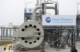 Nghị viện châu Âu muốn ngăn chặn việc khôi phục đường ống Nord Stream 