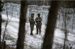 Ba Lan xây hàng rào thép gai trên biên giới với Nga
