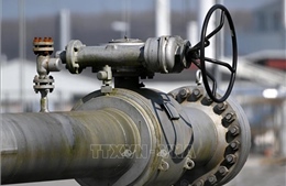 Châu Âu vượt châu Á về nhập khẩu LNG của Nga giữa khủng hoảng năng lượng