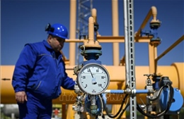 Xuất khẩu dầu của Nga sụt giảm mạnh sau một tuần bị trừng phạt