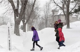 Vừa bão tuyết vừa sóng nhiệt, nước Mỹ chứng kiến cảnh chênh lệch nhiệt độ kỷ lục giữa hai miền