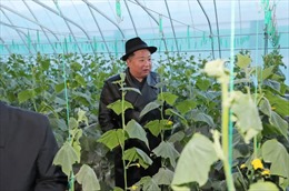 Chống khủng hoảng lương thực, Triều Tiên điều binh sĩ trợ giúp nhà nông