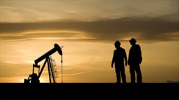 Financial Times: Mỹ kêu gọi các thương lái tiếp tục vận chuyển dầu của Nga