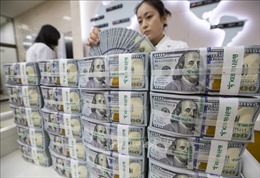 Sohu: Nga và Trung Quốc thúc đẩy mô hình ba bước thách thức vị thế của đồng USD 