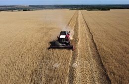 Ukraine lên án lệnh cấm nhập khẩu nông sản của EU 