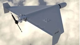 Tư lệnh Ukraine hé lộ về vũ khí ‘khắc tinh’ của UAV cảm tử Shahed