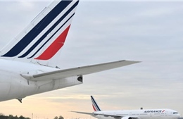 Nỗ lực giảm khí thải, Pháp cấm các chuyến bay ngắn 