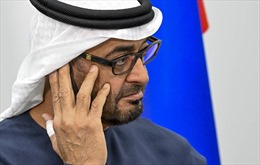 UAE sẵn sàng thúc đẩy giải quyết xung đột ở Ukraine 