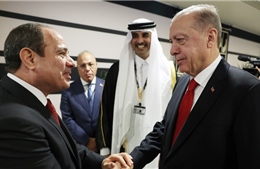 Ai Cập và Thổ Nhĩ Kỳ hàn gắn quan hệ ngoại giao