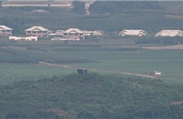 Triều Tiên không trả lời liên lạc của Mỹ về vụ binh sĩ vượt biên