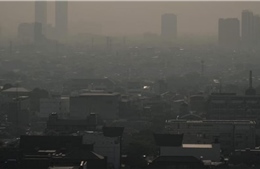 Không khí quá ô nhiễm, người dân Jakarta phải đeo khẩu trang mới dám ra đường