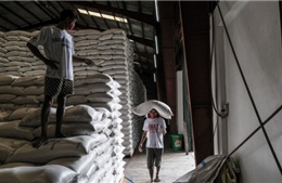 Khủng hoảng gạo ở Philippines gây báo động về lạm phát toàn cầu