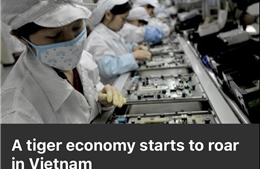 Asia Times: ‘Con hổ kinh tế’ Việt Nam bắt đầu gầm