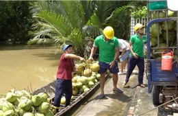 Fobers: Nông sản Việt Nam trở thành hàng tiêu dùng cao cấp mới tại Mỹ