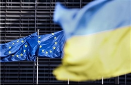 Sáu nước EU chưa tham gia Tuyên bố về đảm bảo an ninh cho Ukraine 