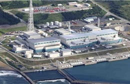 Sóng thần xuất hiện gần nhà máy điện hạt nhân lớn nhất thế giới ở Nhật Bản 