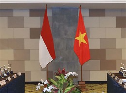 Doanh nghiệp Indonesia đánh giá Việt Nam thành công khi mở cửa thị trường