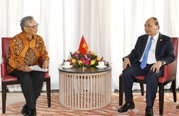 Thủ tướng Nguyễn Xuân Phúc tiếp Chủ tịch Tập đoàn Ciputra