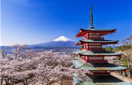 Bay thẳng đến ngắm núi Phú Sĩ với đường bay mới Hà Nội - Shizuoka của Vietjet