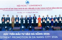 Từ quyết sách quốc gia tới niềm tin thị trường, Đà Nẵng cần sẵn sàng đón sóng đầu tư mới
