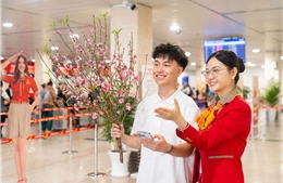 Vietjet nhận vận chuyển mai đào Tết Nguyên đán 2026 từ ngày 15/1