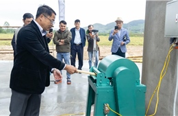 Canh tác chuối theo hướng kinh tế tuần hoàn để thực hiện mục tiêu Net Zero