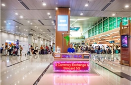 Sân bay Phú Quốc tăng 37% số lượng khách dịp Tết Bính Ngọ