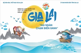 Bùng nổ loạt sự kiện Năm du lịch quốc gia 2026: Pháo hoa thắp sáng Đại ngàn Gia Lai  
