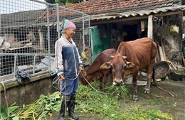 Hỗ trợ đa chiều để giảm nghèo bền vững