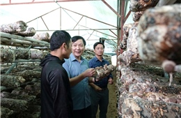 Xã vùng cao xóa bỏ tư tưởng trông chờ, ỷ lại để giảm nghèo bền vững